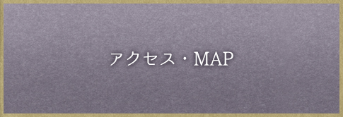 �A�N�Z�X�EMAP